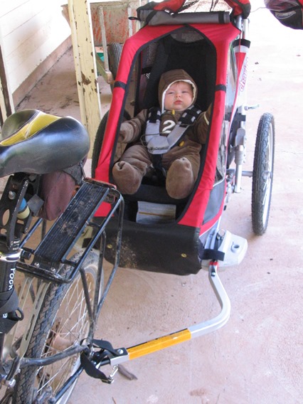 chariot cougar 2 infant sling